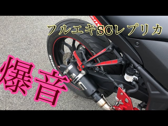 R25 MT-25 バイクマフラー アリア ステンレス カール カスタム