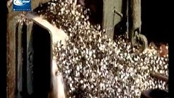 Video corporativo de Chandan Steel