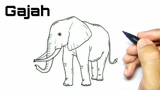 Cara Gambar Hewan Gajah