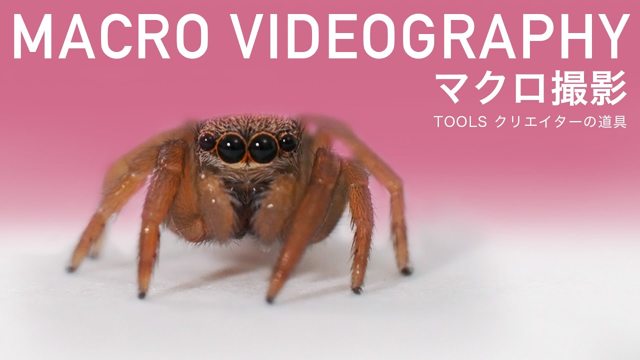 マクロ撮影が面白い。｜I'm a graphic designer