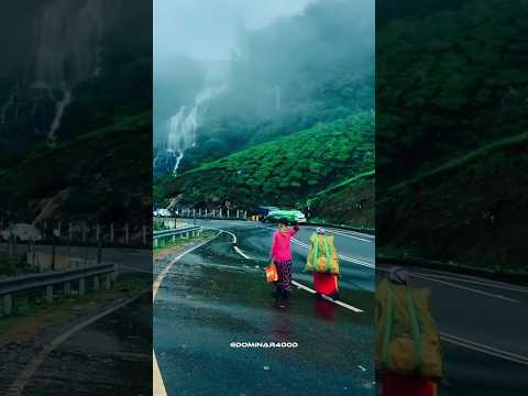 idukki kerala 🍃💚