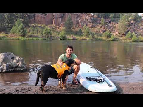 Video: Paddling With Dogs 101