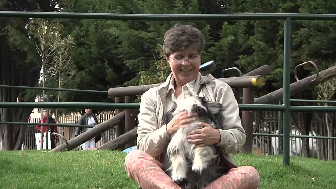 Homeopatía para mascotas, una medicina alternativa para el cuidado y bienestar de tus animales.