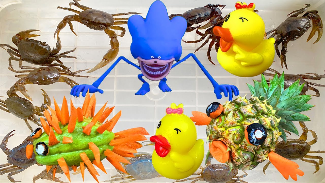 Kem Ốc Chanel ra bờ ao câu con cá mập xanh, cá mập cắn con vịt, nhím sonic, cá nóc, rùa con màu sắc.