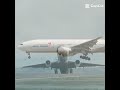Just A Regular Photo? |Asiana Airlines Flight 214