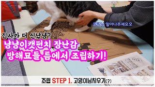 고양이장난감 냥냥이캣펀치 고양이의 방해 속에서 조립하기ㅋㅋ screenshot 3