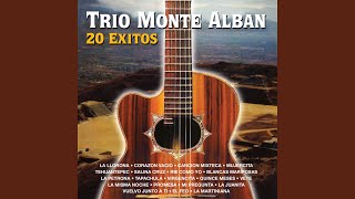 Video thumbnail of "Trío Monte Albán - La Misma Noche"