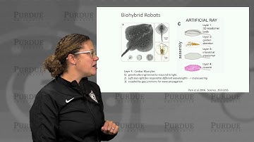 nanoHUB-U Biodesign L5.1: Cellular Devices - Intro to Living Biohybrids