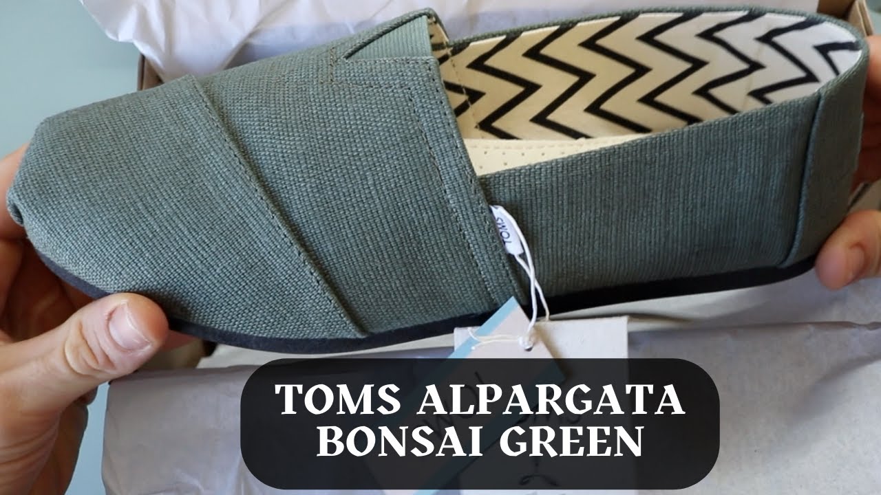 NWOB TOMS Men’s Alpargata Bonsai Green Heritage Canvas TOMS Toms Classic Alpargata Slip Ons Bonsai Green Heritage  main image 2