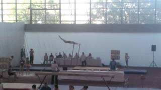 Nicole Hitz 2014 FINGYM UB