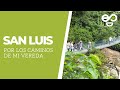 Por los caminos de mi vereda "San Luis"