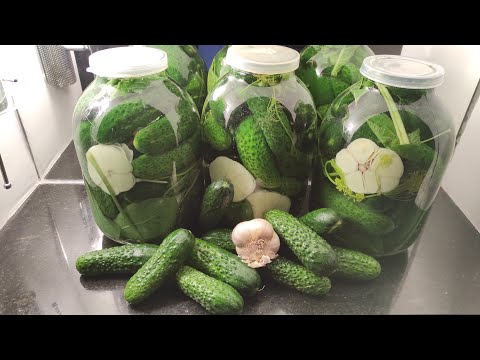 САМЫЙ ПРОСТОЙ СПОСОБ засолки огурцов на зиму! КВАШЕНЫЕ ХРУСТЯЩИЕ ОГУРЦЫ!