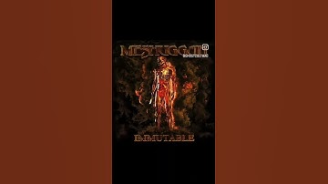 Released one year ago this week, "Immutable" by Meshuggah