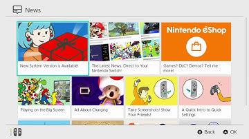 Nintendo Error 2813-0999