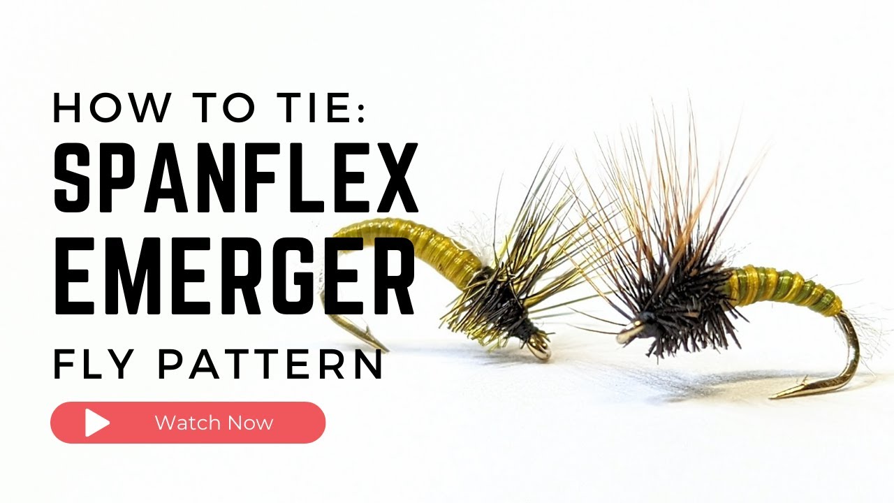 Fly Tying TUTORIAL Spanflex EMERGER YouTube