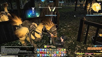 Final Fantasy XIV: A Realm Reborn - Gridania Mission Part 3 (Legacy), 1080P Vostfr