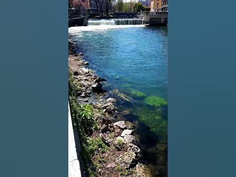 ♎ Совместимость Весов и Водолея - YouTube