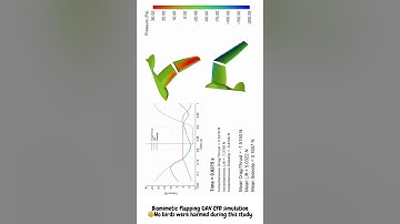 Biomimetic flapping UAV CFD simulation