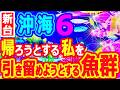 帰ろうとする私を～引き留めようとする魚群『Pスーパー海物語IN沖縄6』