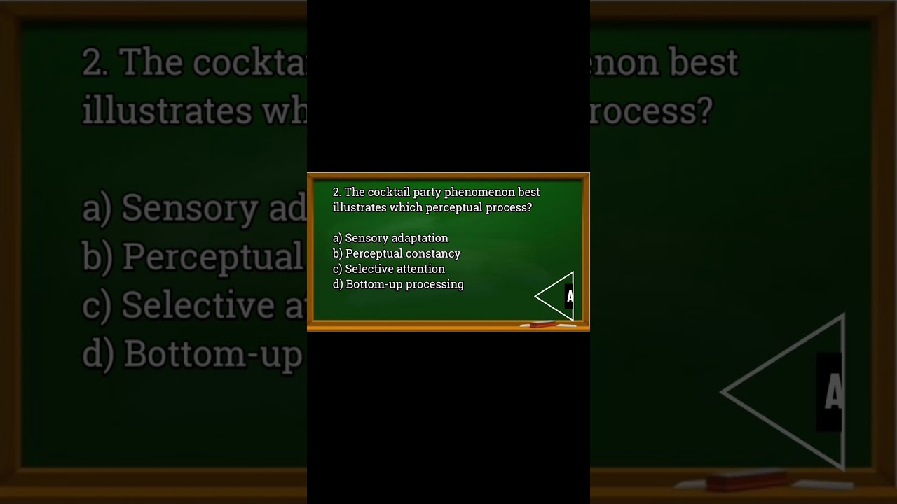 Freshman Psychology Final Exam Questions