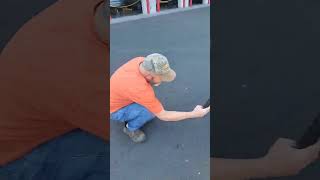 #CostcoFinds A honey bee swarm looking for a home at Costco