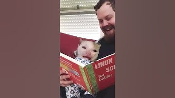 Linux meme funny #funny #funnymemes #devloper #memecoding #shorts #viralshorts #linux #linuxkernel