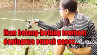 ikan tembem dagingnya empuk, mancing cantik ambyar, BTS fishing mania, mancing viral, banana fishing