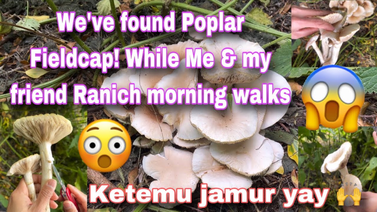 GAK PLANING JUMPA TEMANKU RANICH HARI INI. WALKING AROUND WHERE SHE LIVE 🪵 😀