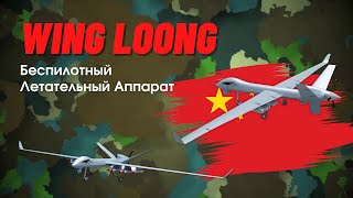 Видео обзор беспилотника Wing Loong (Китай): цена, характеристики, модификации