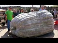 The Biggest Vegetable on Earth is Bigger Than Your Imagination