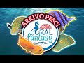 🐠 ARRIVO PESCI DICEMBRE ❄️