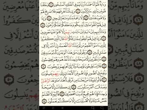 ماهر المعيقلي سورة يس مكتوبة صفحة 443 مصحف المدينة المنورة جودة عالية