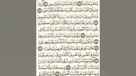 ماهر المعيقلي سورة يس مكتوبة صفحة 443 مصحف المدينة المنورة جودة عالية