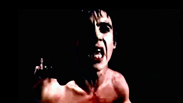 Iggy Pop | Lust For Life | Live at the Manchester Apollo | 25 September 1977