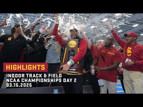 Highlight 5