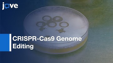 CRISPR-Cas9 Genome Editing in the Filamentous Ascomycete | Protocol Preview