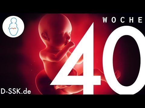 Video: 40 Schwangerschaftswochen: Empfindungen, Fetale Entwicklung