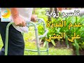 تفسير حلم رؤية عدم القدرة على المشي في المنام تفسير الاحلام فاطمة الزهراء 