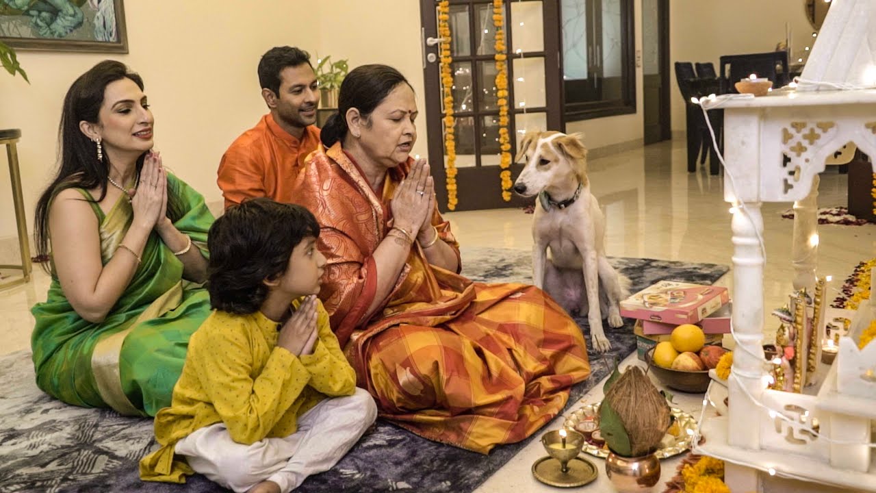 HUFT Diwali Celebration with Bindiya Dogs are Family YouTube