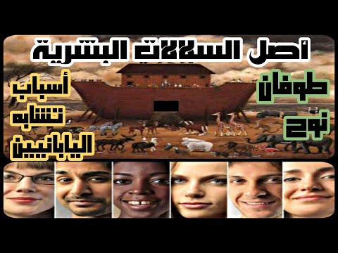 الطوفان العظيم كيف أنقذ سيدنا نوح البشرية وأثر ذلك على أصل السلالات البشرية