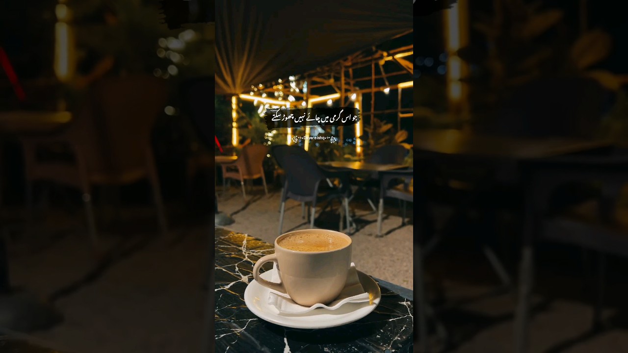 |Chai Shayari Whatsapp Status|Tea Lover Whatsapp Status|Urdu poetry 