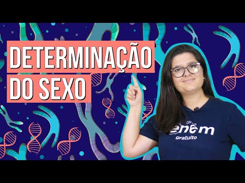 Vídeo: O que o cromossomo Y determina?