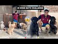 20 dogs bath challenge !