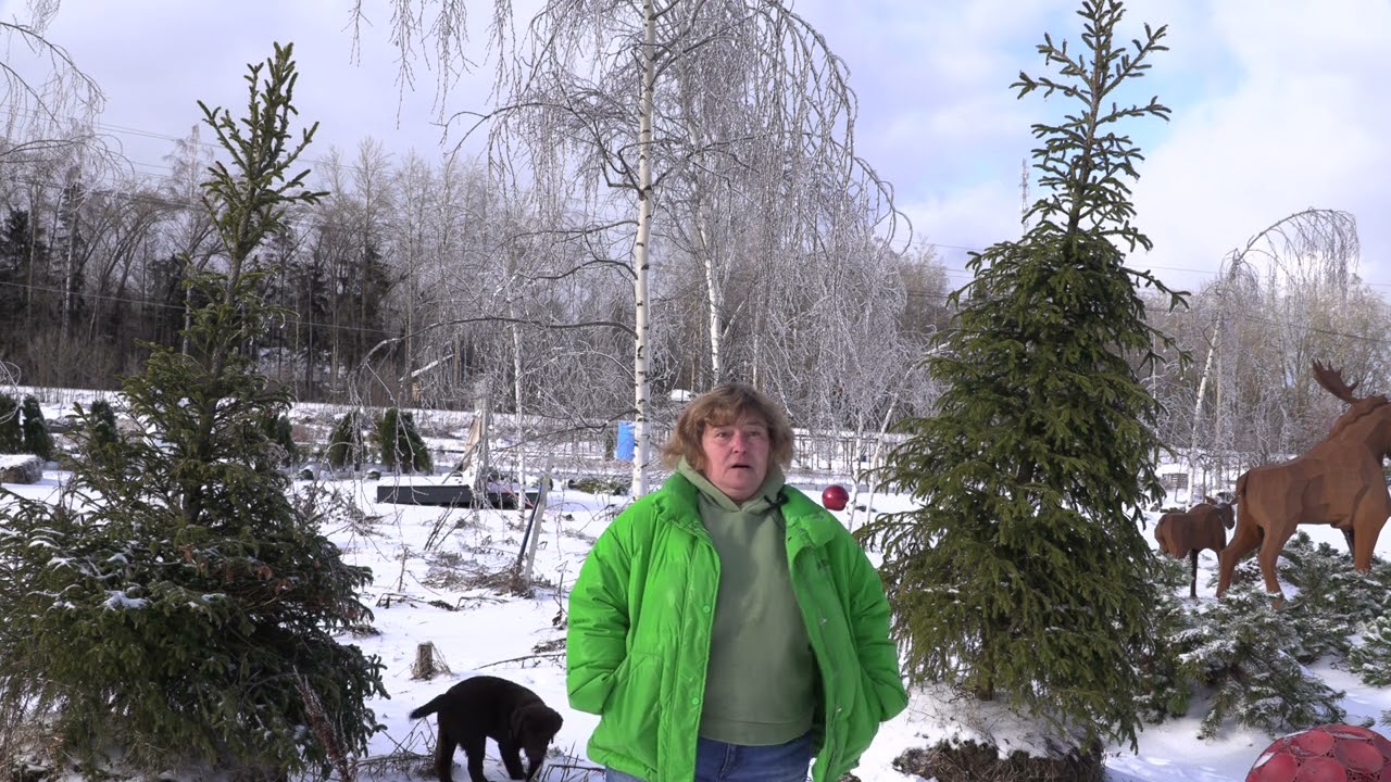 Ледяной дождь что делать?