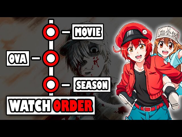 Watch Cells at Work!