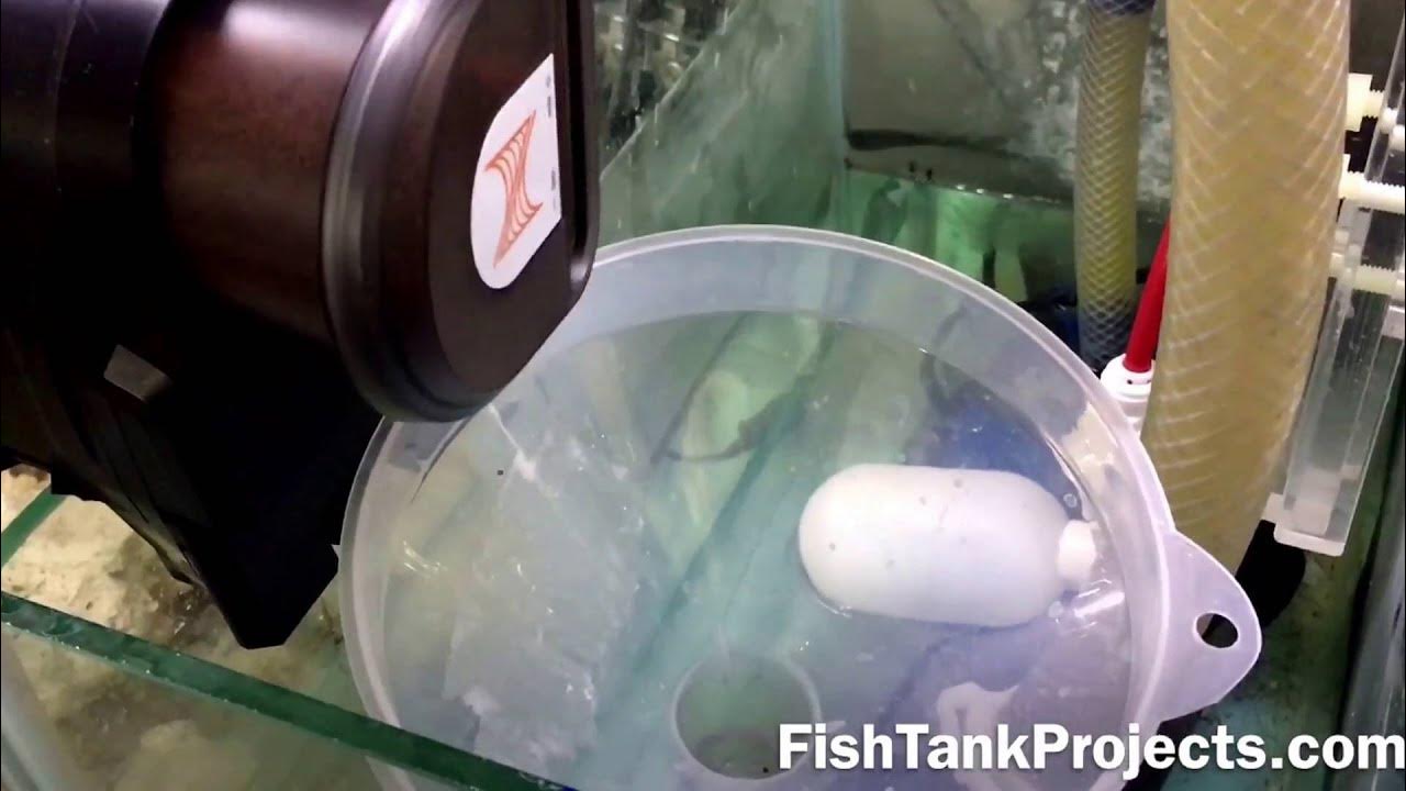 Apex auto feeder in sump hack YouTube