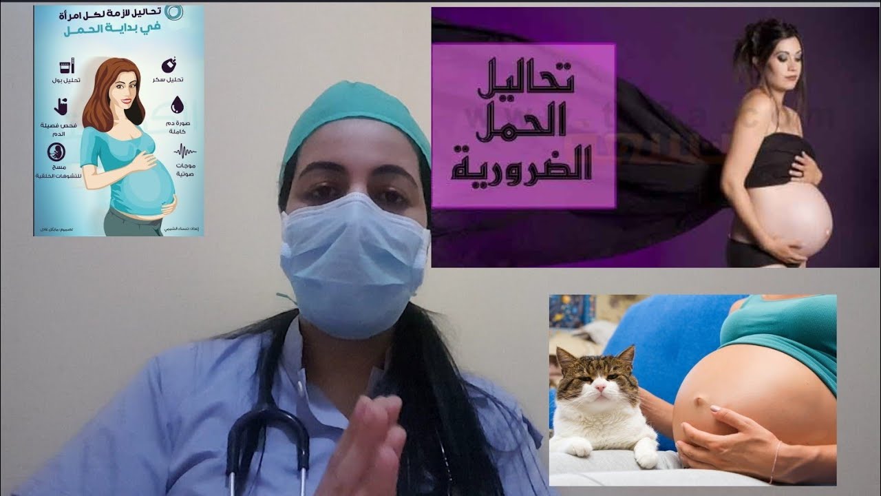 الحلقة 2 الحمل و الولادة : ما هي تحاليل  المرأة الحامل؟شرح مفصل #تحاليل_الحمل .