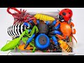 [🔥toy asmr🔥] ZURU Robo Alive Giant Terra Spider - RC Crab - Scorpion ASMR | No talking