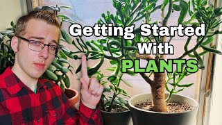 How to START with Plants- Plant Care Guide