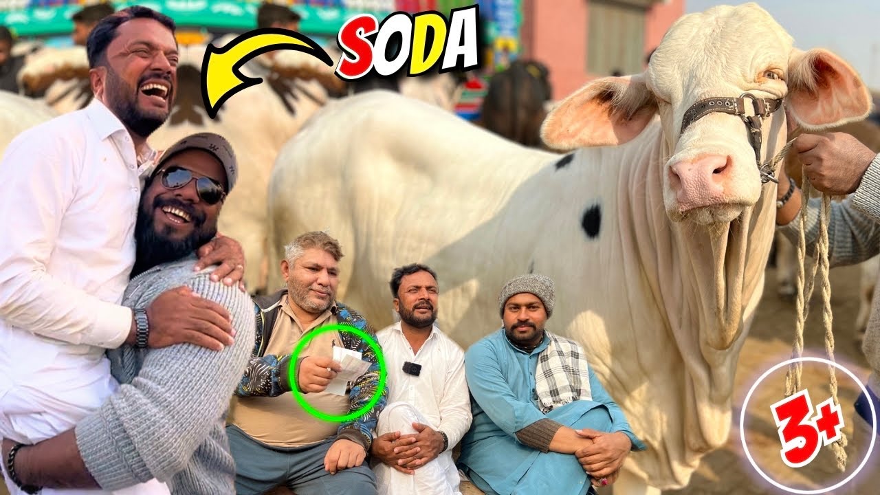 Hashim Ke Top Bachray Karachi Mein Dhamaka! 😱🔥 | Farhan Boss Ke 3 Mega Soode & Full Bargaining Show 